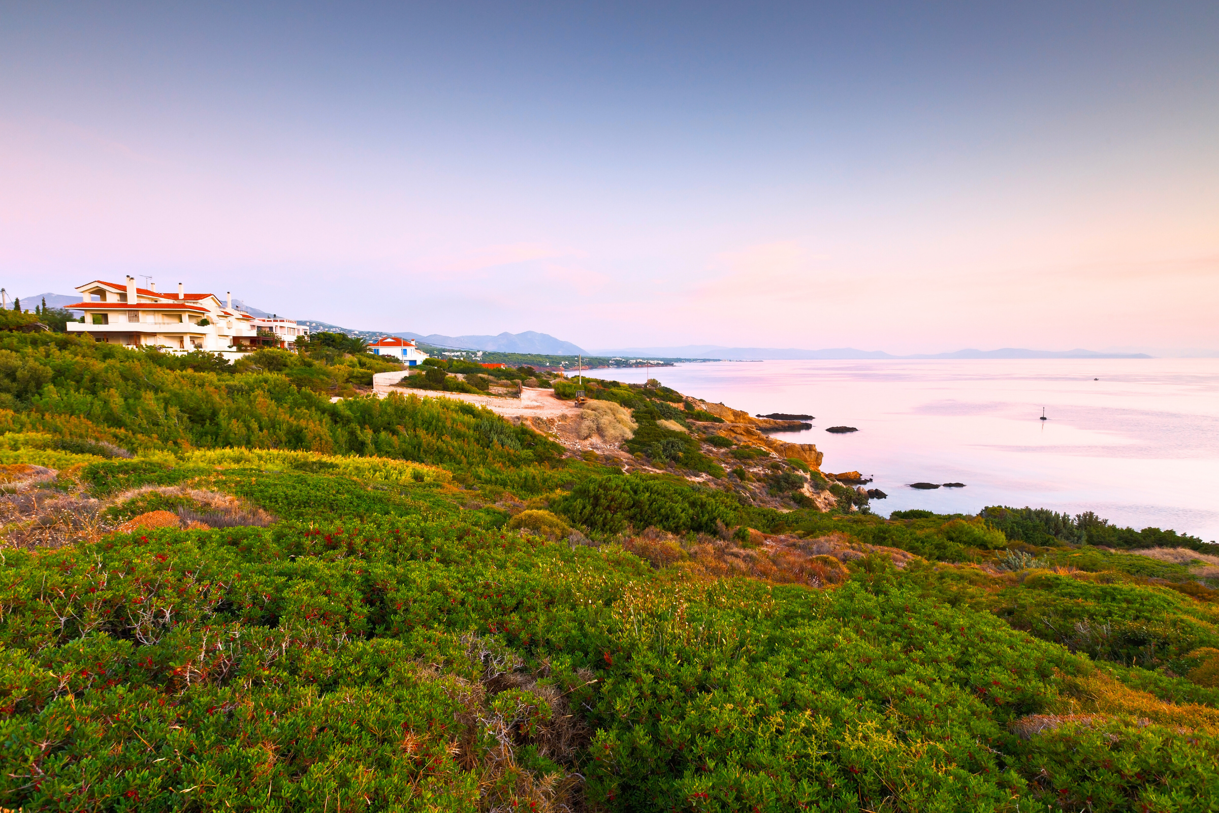 113 rafina.webp